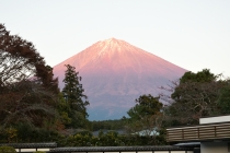 2025年11月「宗祖御大会」